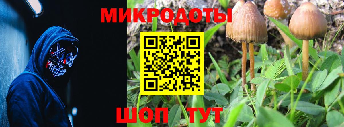 Галлюциногенные грибы прущие грибы Новошахтинск